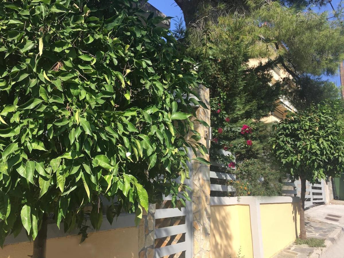 Elias Apartment Athens Ngoại thất bức ảnh